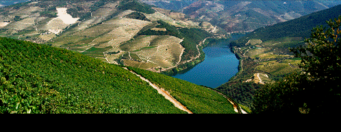 DOURO photos